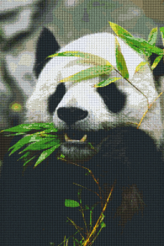 Panda Thirty [30] Baseplate PixelHobby Mini-mosaic Art Kit
